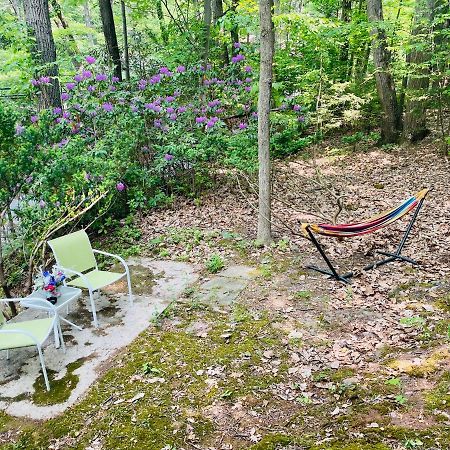 Modern Cabin With Hot Tub Grill Lake Beach Wineries Hiking Fishing And Hershey Park Family And Pet Friendly Superhosts On Ab&B Mount Gretna Eksteriør bilde